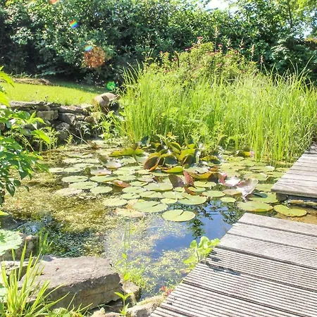 Hébergement de vacances My Arimont *