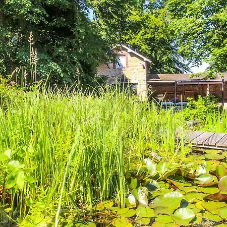 My Arimont * 말메디